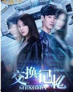 交换记忆,揭秘人类记忆的神秘力量