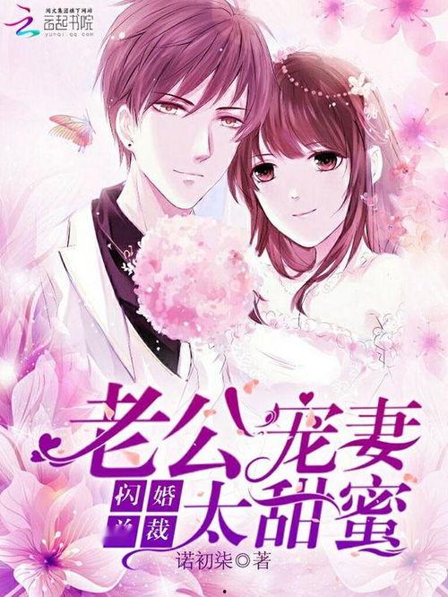 闪婚错嫁搬砖老公是总裁