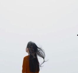 遗失的心跳,探寻生命律动的秘密之旅